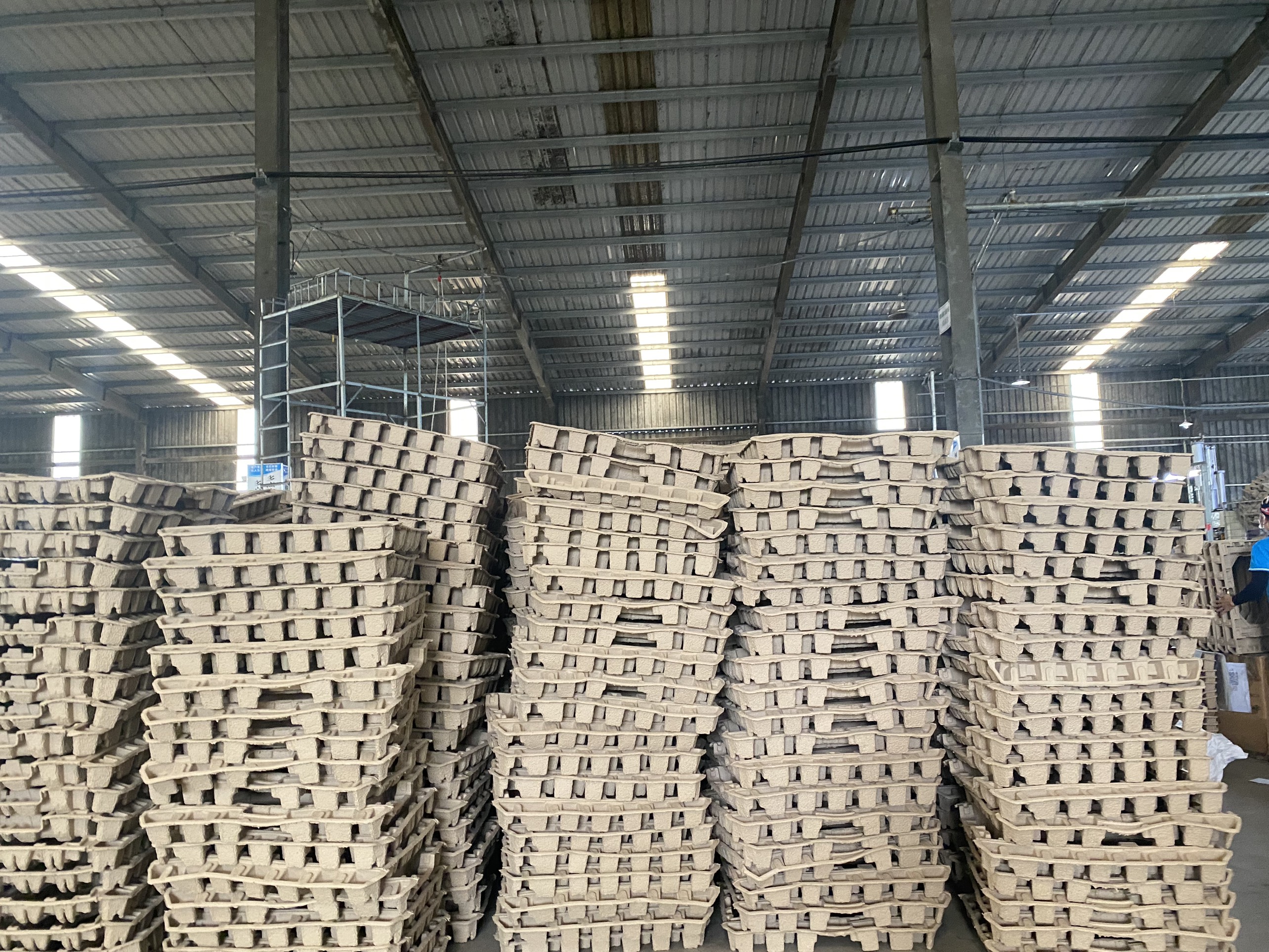 Khay giấy định hình