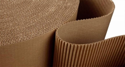 Cardboard paper roll with 2 layers